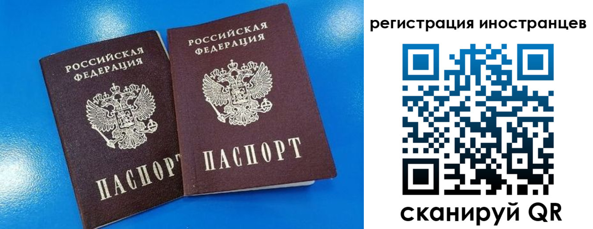 временная регистрация поиск в Геленджике