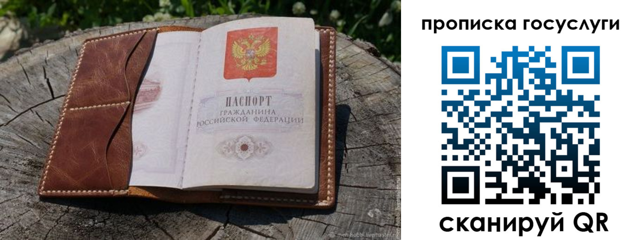прописка для школы в Геленджике